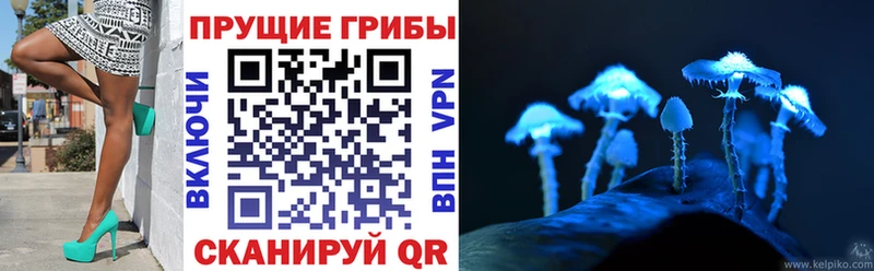 Галлюциногенные грибы GOLDEN TEACHER  Купить где  Джанкой 
